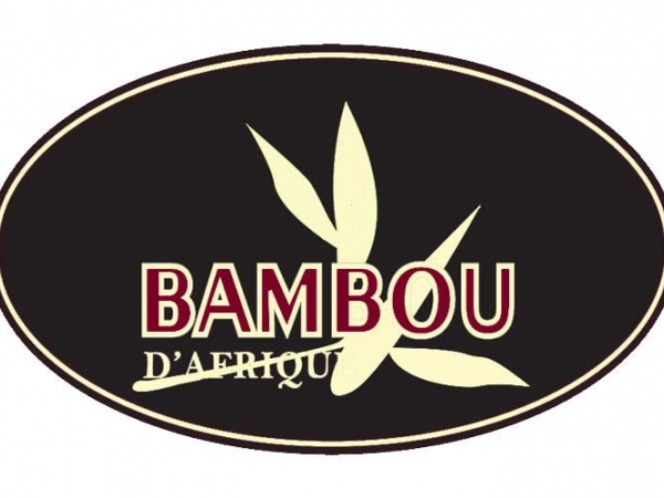 bambou-d-afrique à casablanca